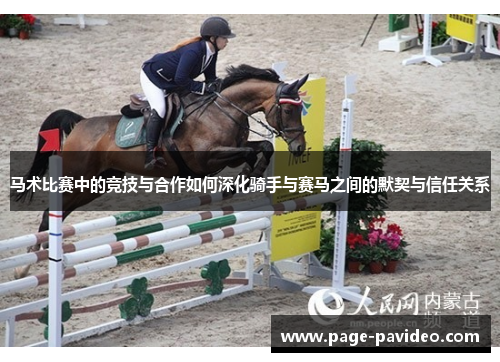 马术比赛中的竞技与合作如何深化骑手与赛马之间的默契与信任关系 马术比赛中的竞技与合作如何深化骑手与赛马之间的默契与信任关系