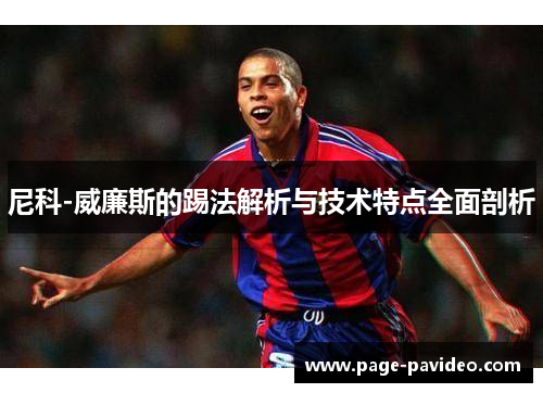 尼科-威廉斯的踢法解析与技术特点全面剖析