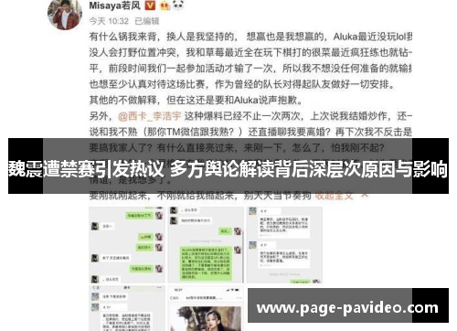 魏震遭禁赛引发热议 多方舆论解读背后深层次原因与影响
